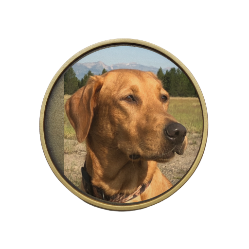 Custom Brass Ball Marker