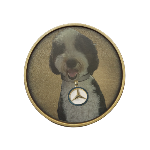 Custom Brass Ball Marker