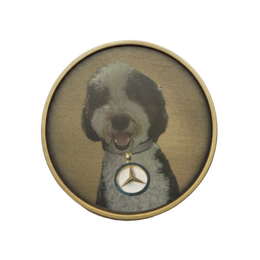 Custom Brass Ball Marker