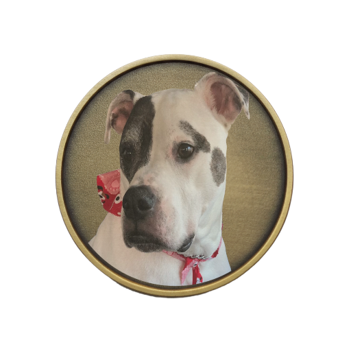 Custom Brass Ball Marker - 40mm